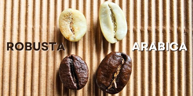 Arabica czy Robusta